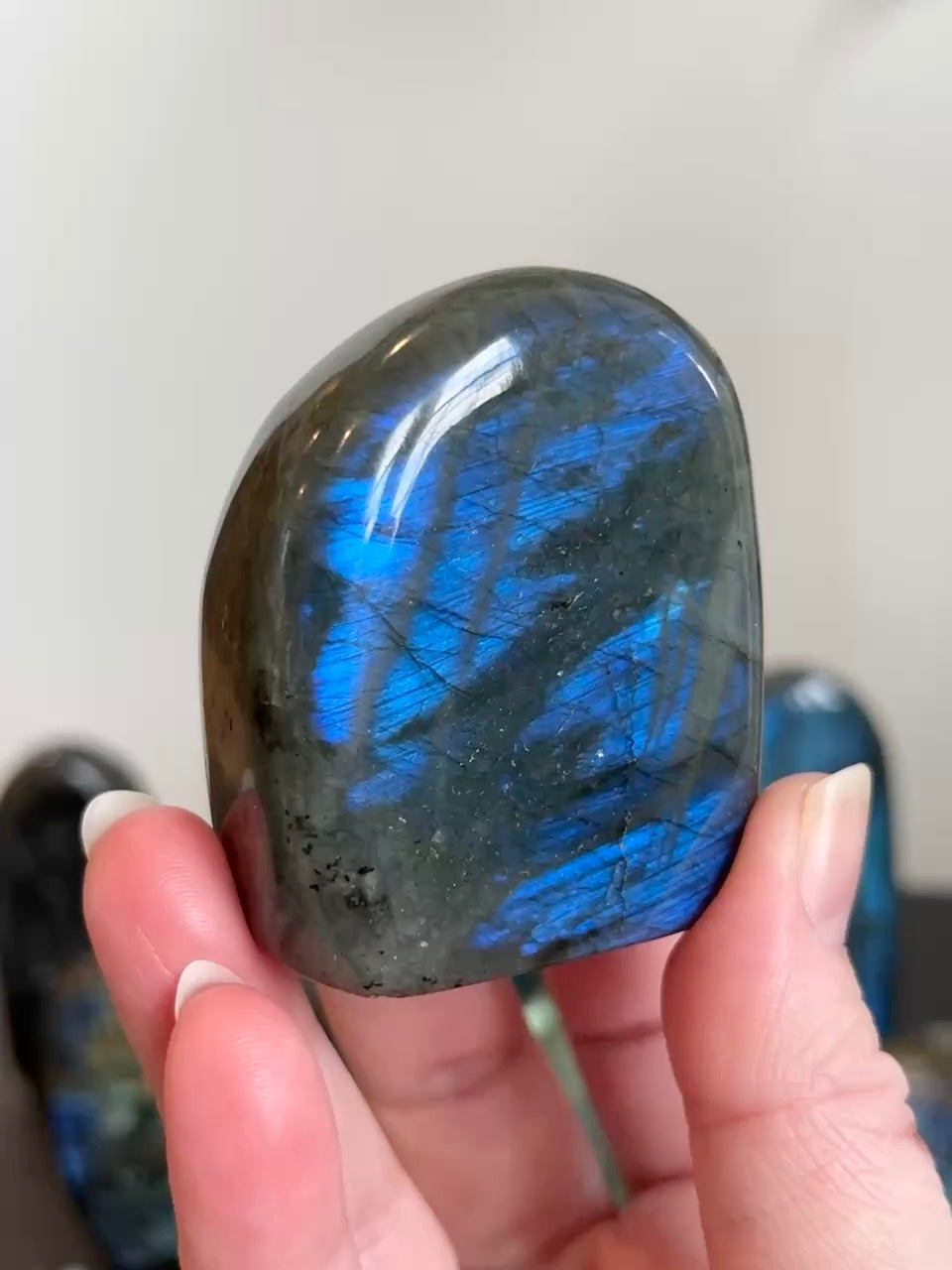 Labradorite Freeform (High Flash)