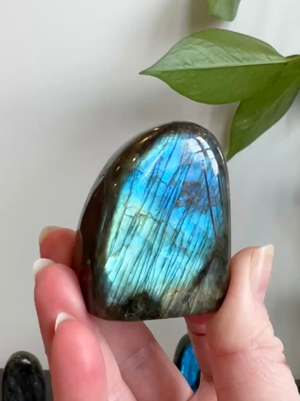 Labradorite Freeform (High Flash)