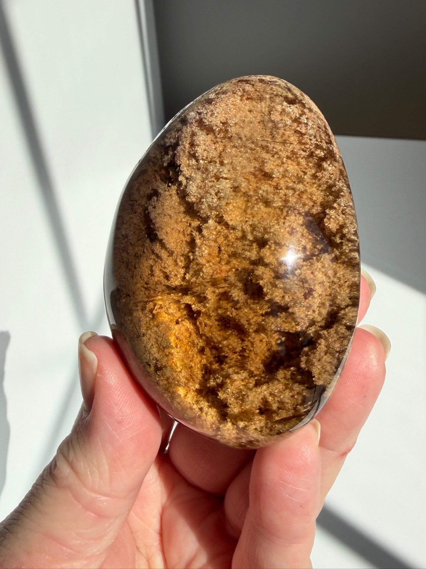 Exceptional Polished Smokey Lodolite / Garden Quartz Lens