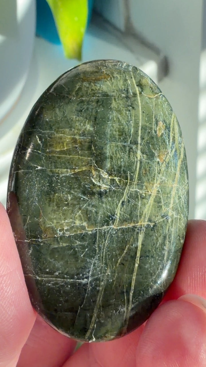 Chatoyant Arizona Pietersite Palms