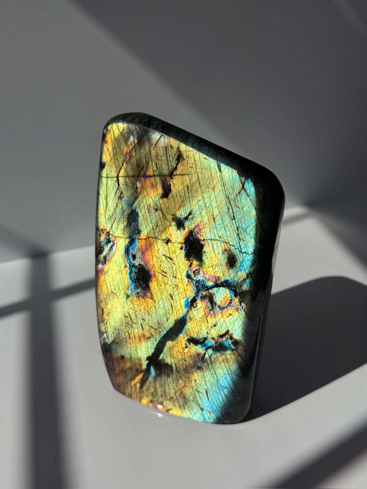 Super Flashy XL Golden Yellow Labradorite Freeform