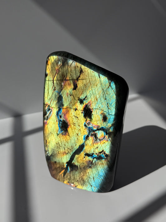 Super Flashy XL Golden Yellow Labradorite Freeform
