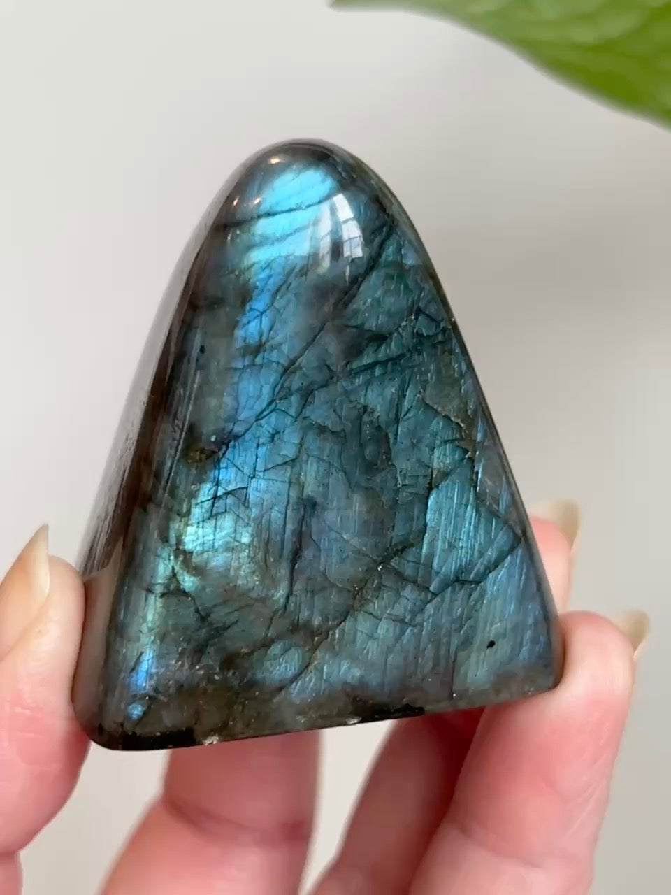 Labradorite Freeform (High Flash)
