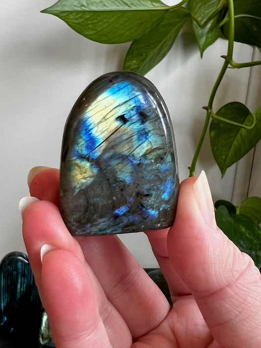 Labradorite Freeform (High Flash)