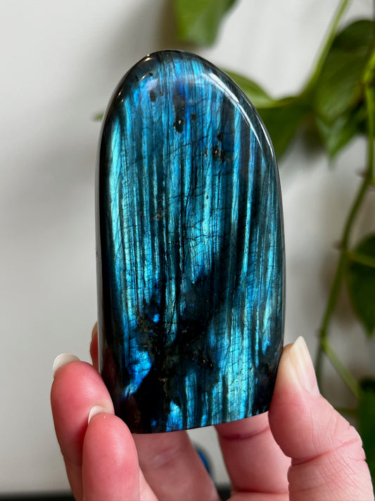 Labradorite Freeform (High Flash)
