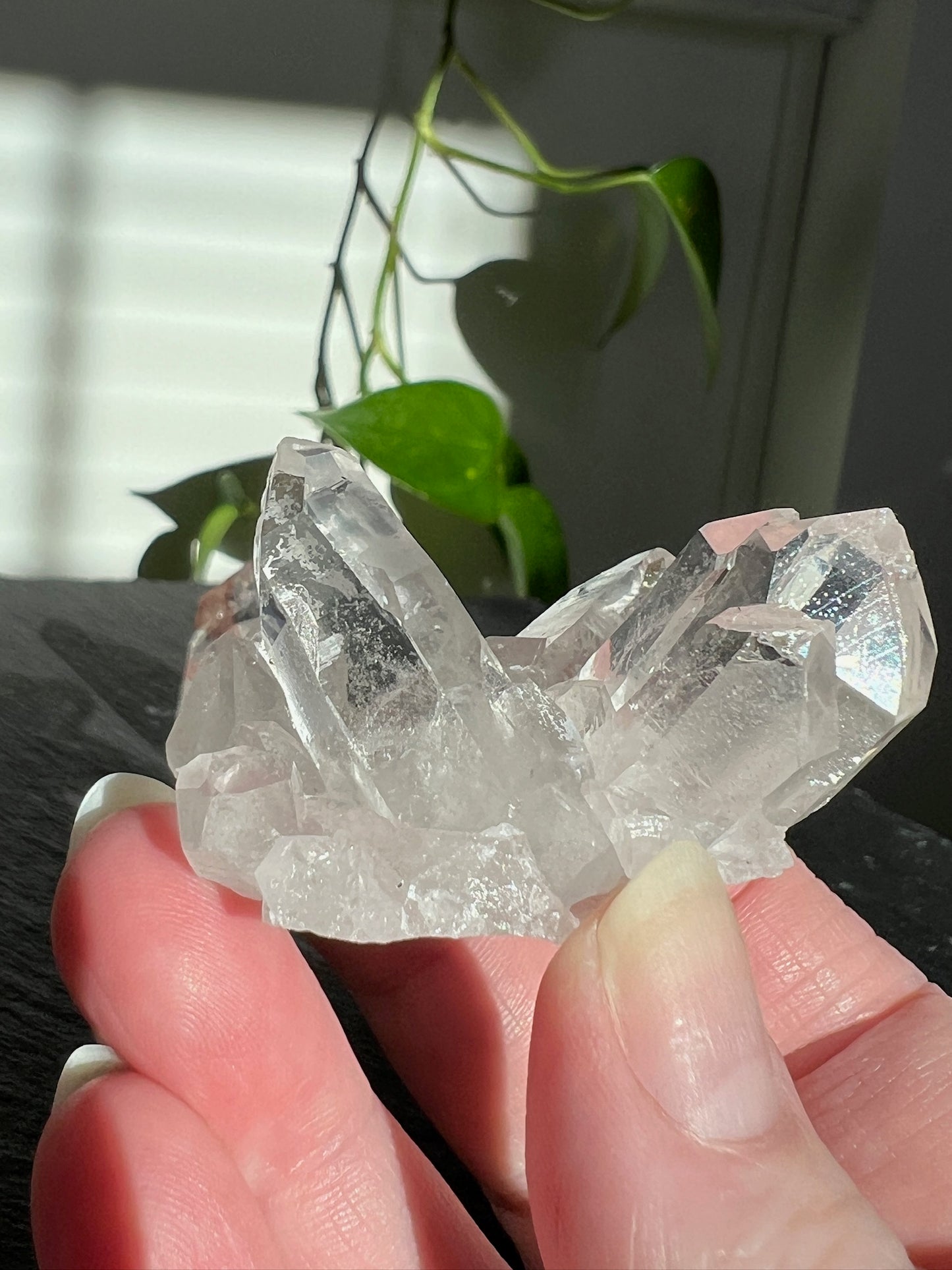 Handpicked Bundle - Lemurian Quartz, Citrine, and Pink Scarlet Lemurian Quartz