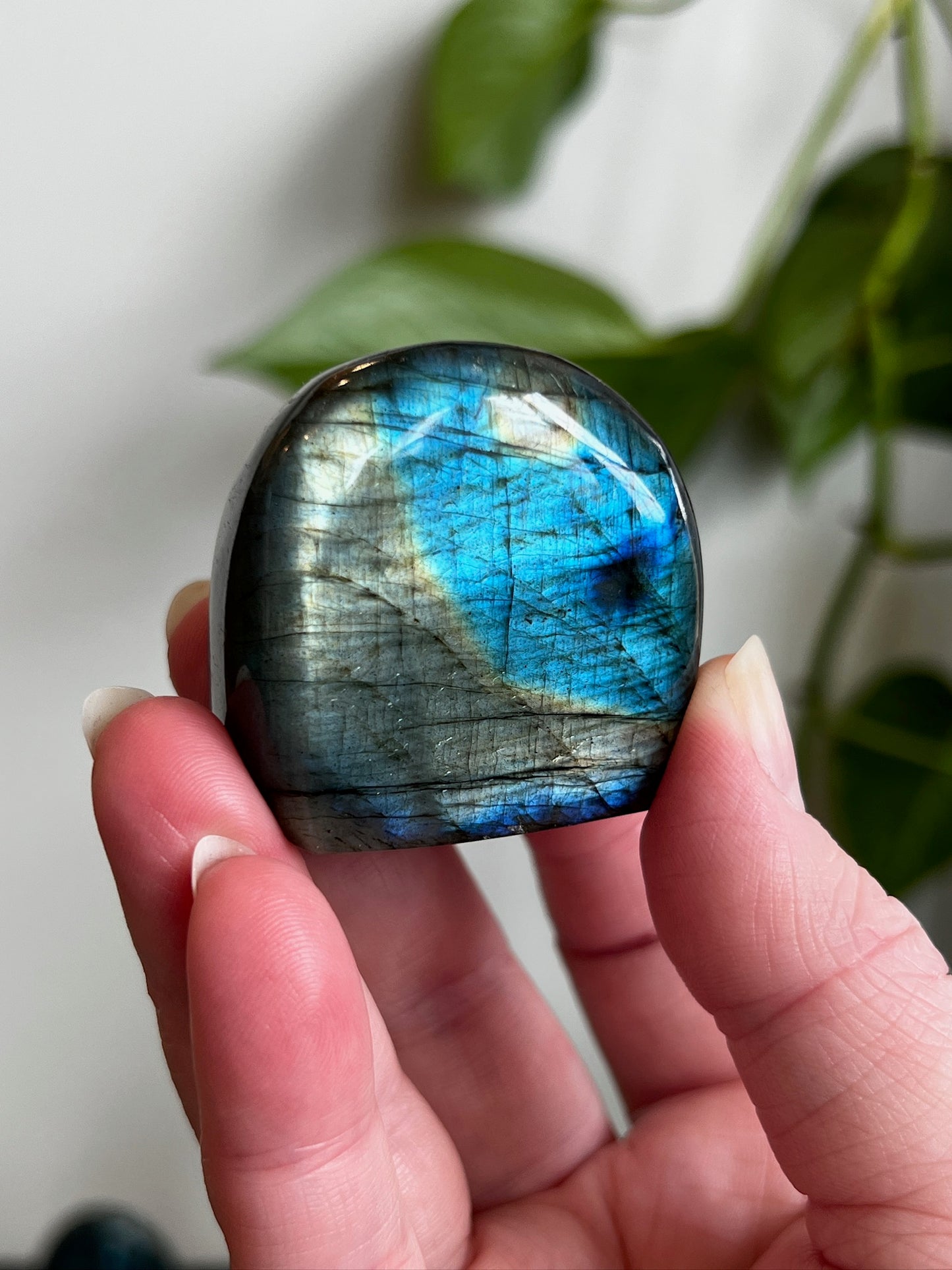 Labradorite Freeform (High Flash)