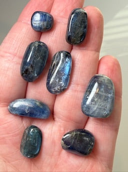 Blue Kyanite Polished Gems - Nepal