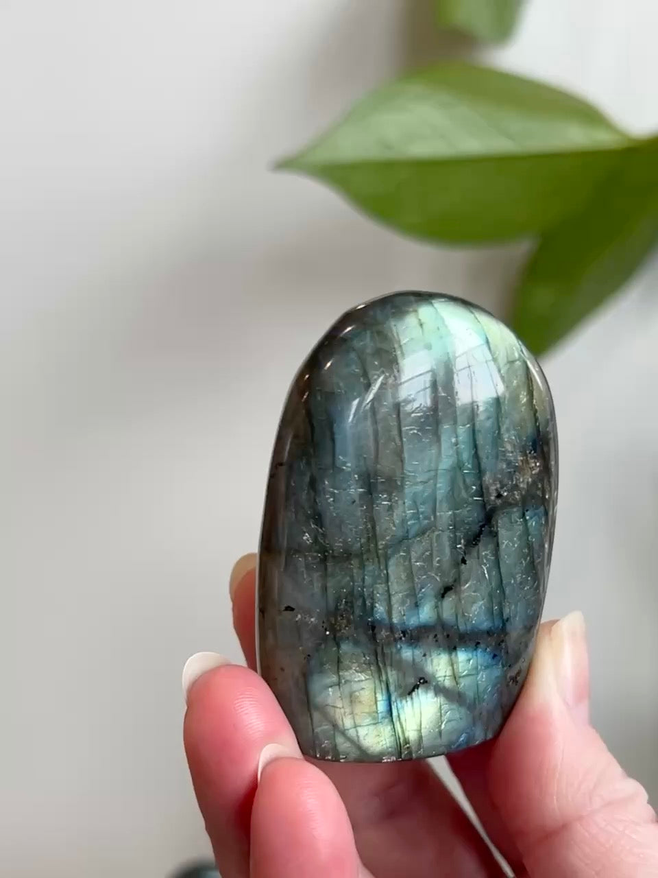 Labradorite Freeform (High Flash)