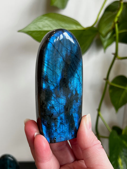 Labradorite Freeform (High Flash)