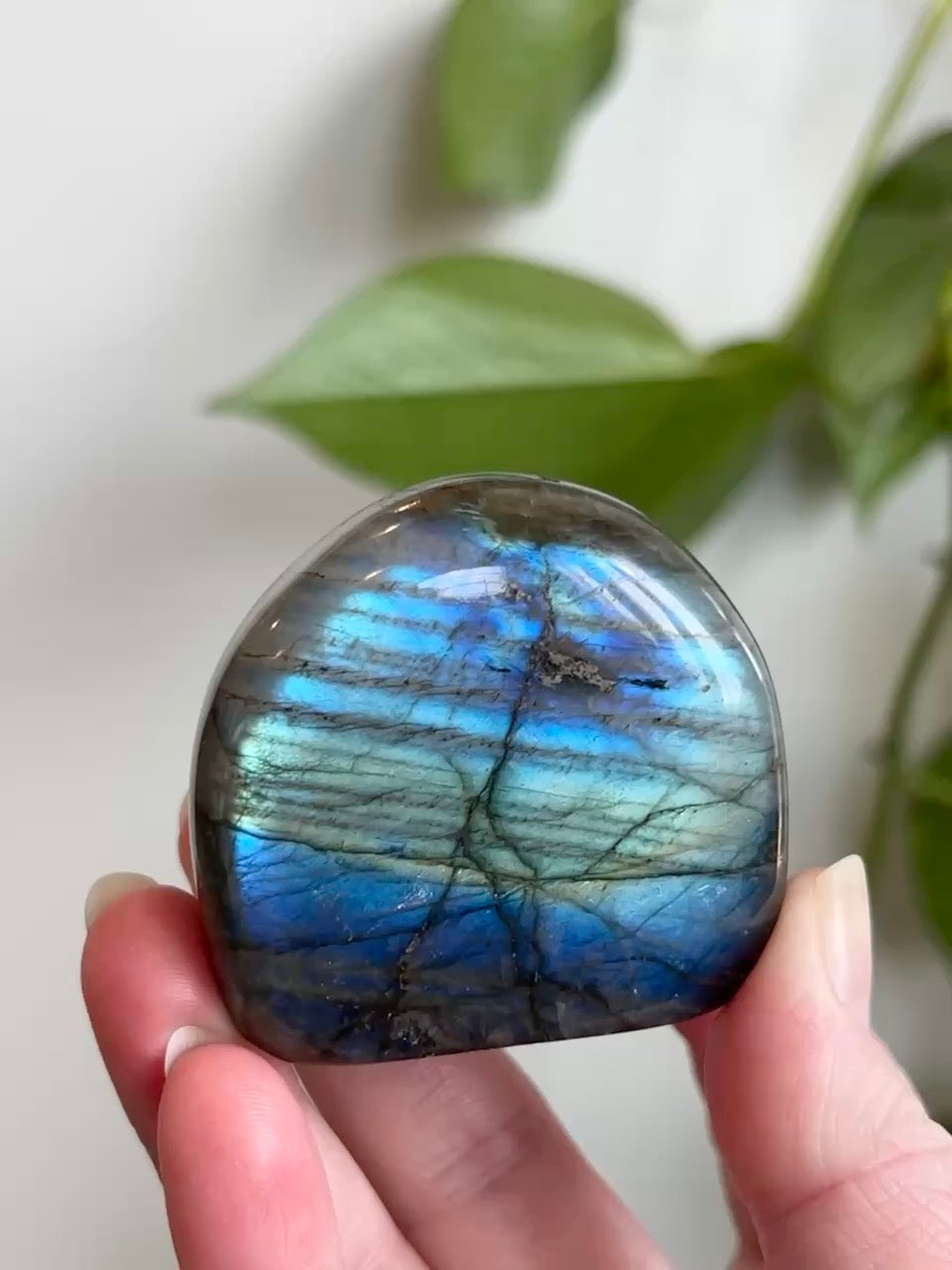 Labradorite Freeform (High Flash)