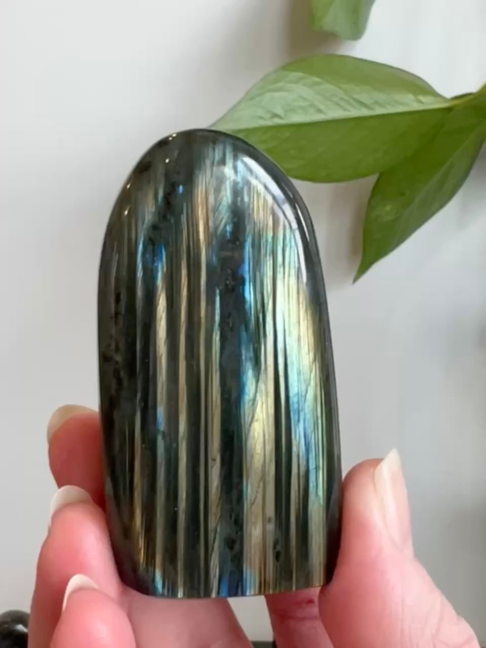 Labradorite Freeform (High Flash)