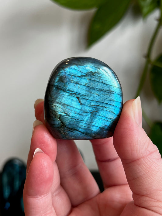 Labradorite Freeform (High Flash)