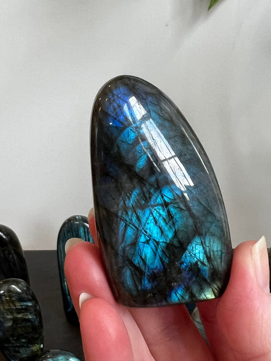 Labradorite Freeform (High Flash)
