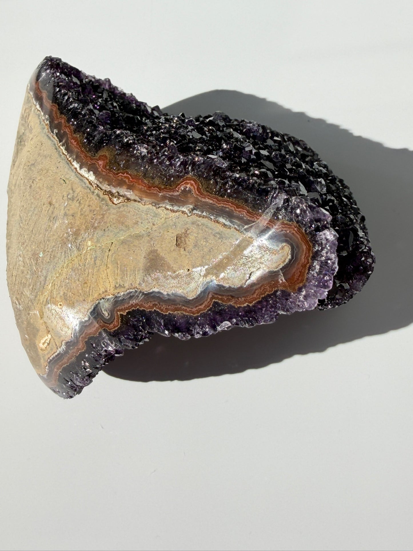 High-Grade Bi-Color Polished Amethyst Freeform