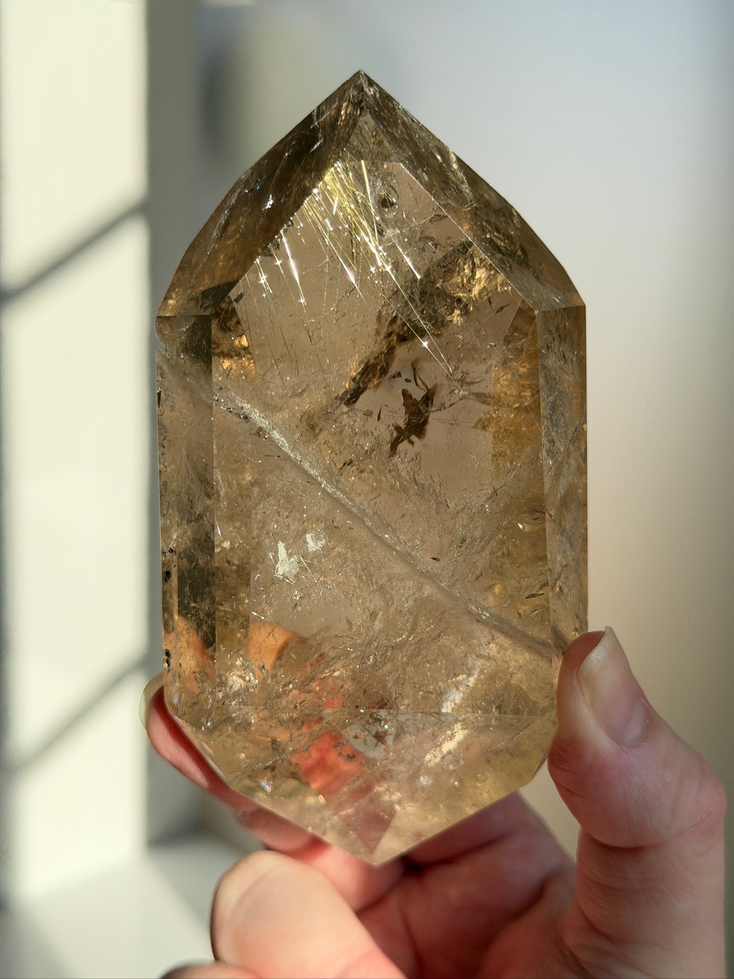 Gold Rutilated Smoky Quartz DT