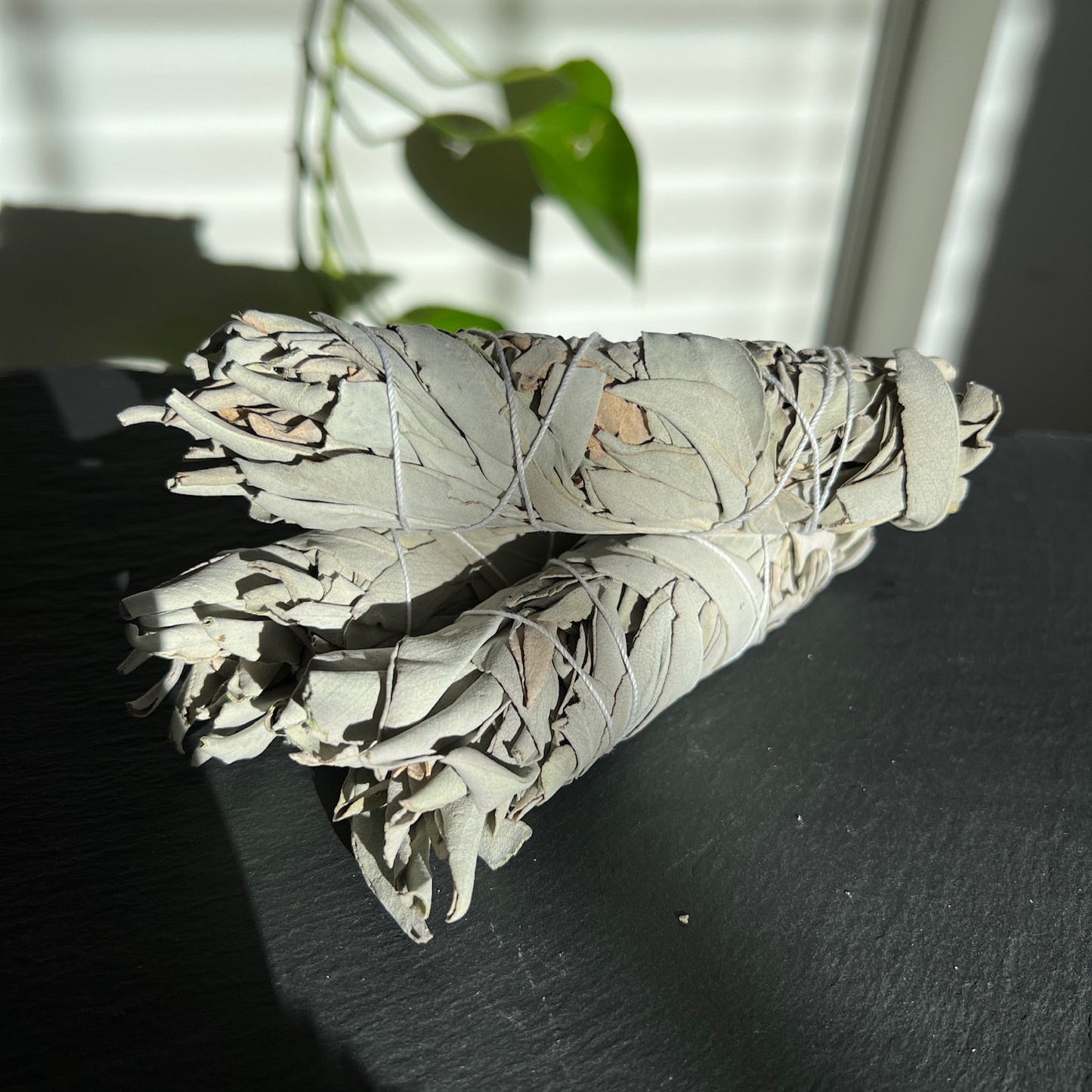 White Sage Smudge Stick