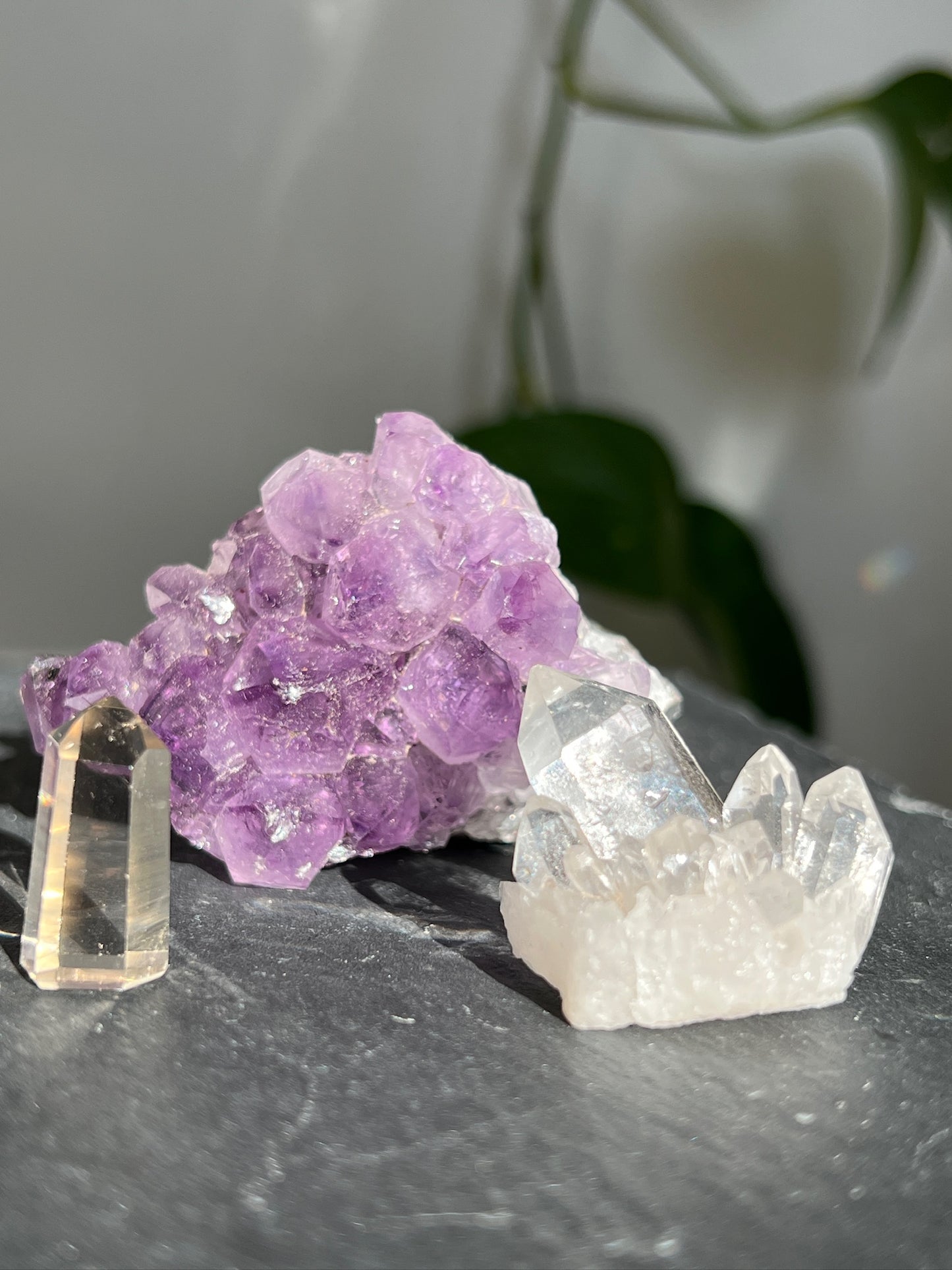 Handpicked Bundle - Lemurian Quartz, Amethyst, and Citrine