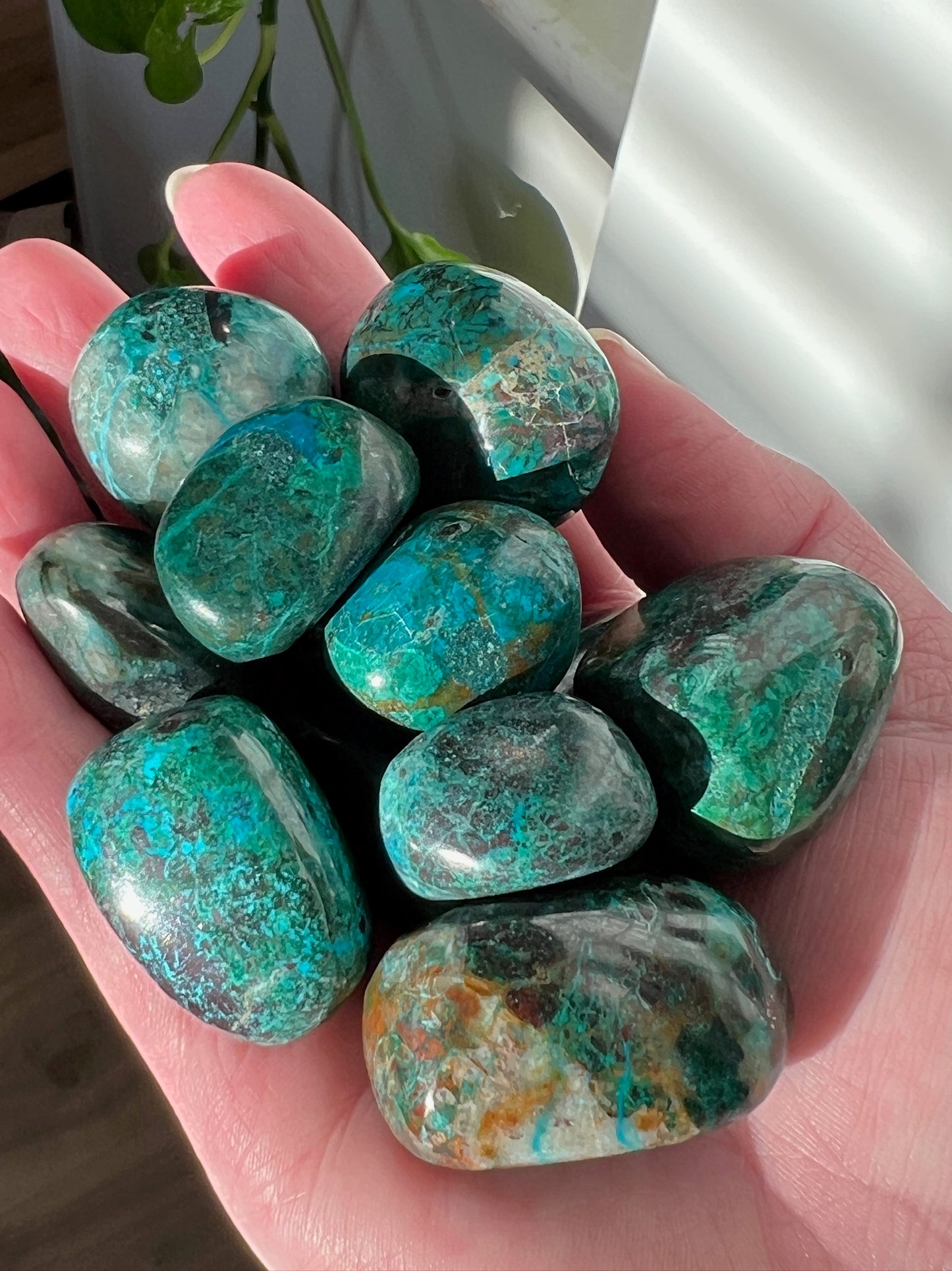 Chrysocolla Tumbles