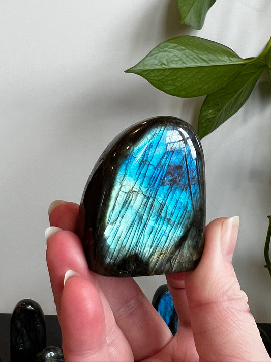 Labradorite Freeform (High Flash)