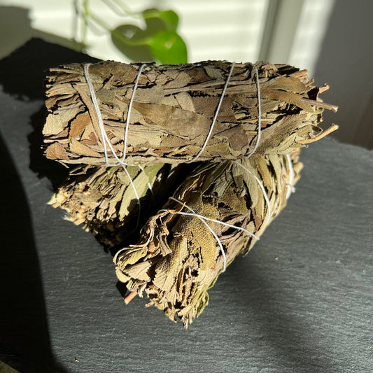 Black Sage Smudge Stick