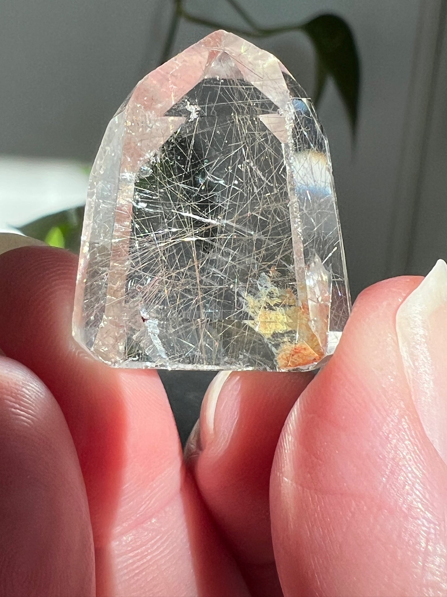 Handpicked Bundle - Rutilated Quartz, Amphibole, and Lodolite