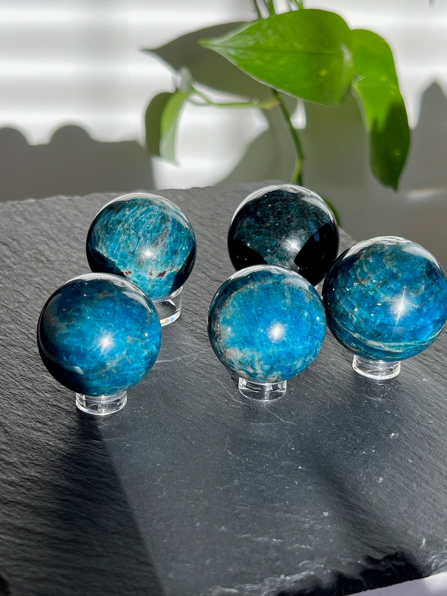 Stunning Blue Apatite Spheres