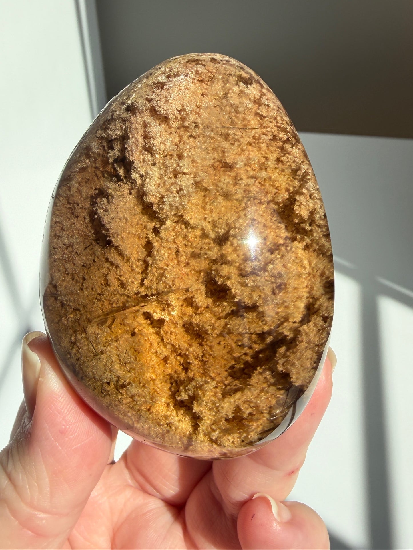 Exceptional Polished Smokey Lodolite / Garden Quartz Lens