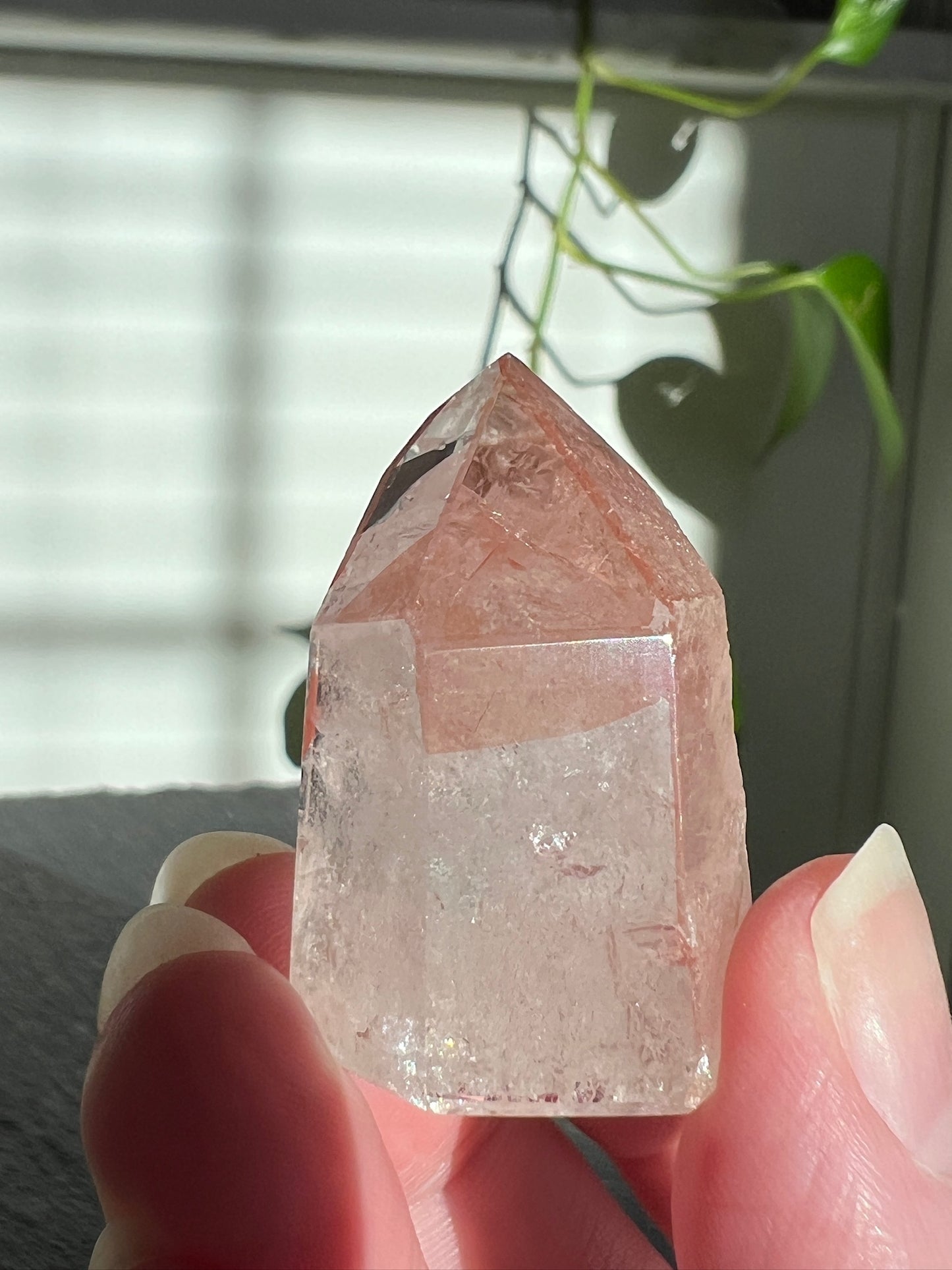 Handpicked Bundle - Lemurian Quartz, Citrine, and Pink Scarlet Lemurian Quartz