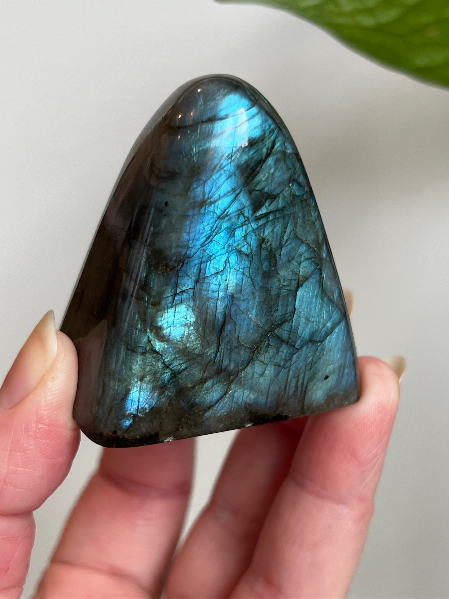 Labradorite Freeform (High Flash)