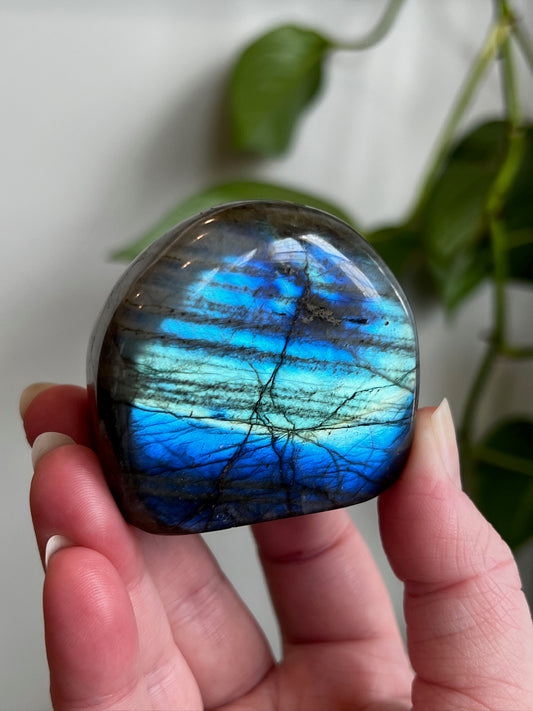 Labradorite Freeform (High Flash)
