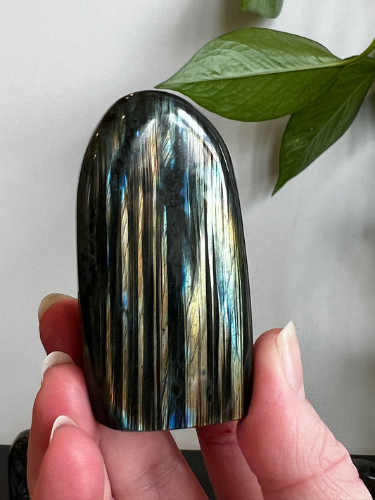 Labradorite Freeform (High Flash)