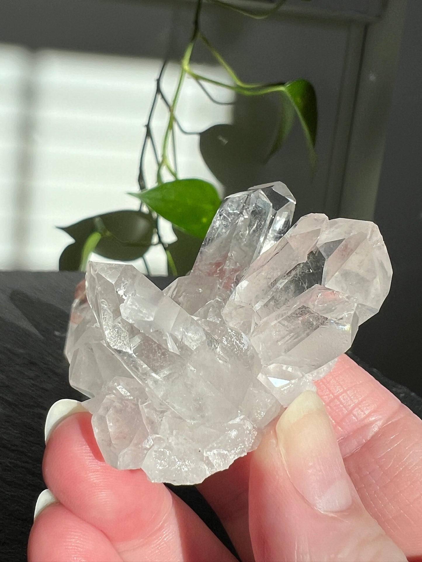 Handpicked Bundle - Lemurian Quartz, Citrine, and Pink Scarlet Lemurian Quartz