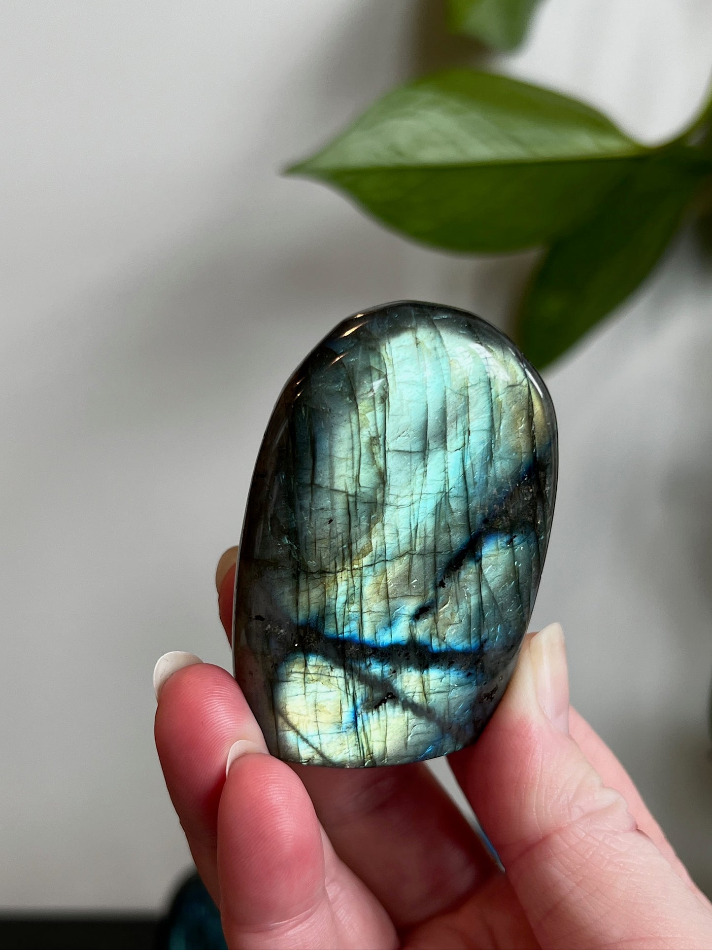 Labradorite Freeform (High Flash)