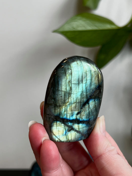 Labradorite Freeform (High Flash)