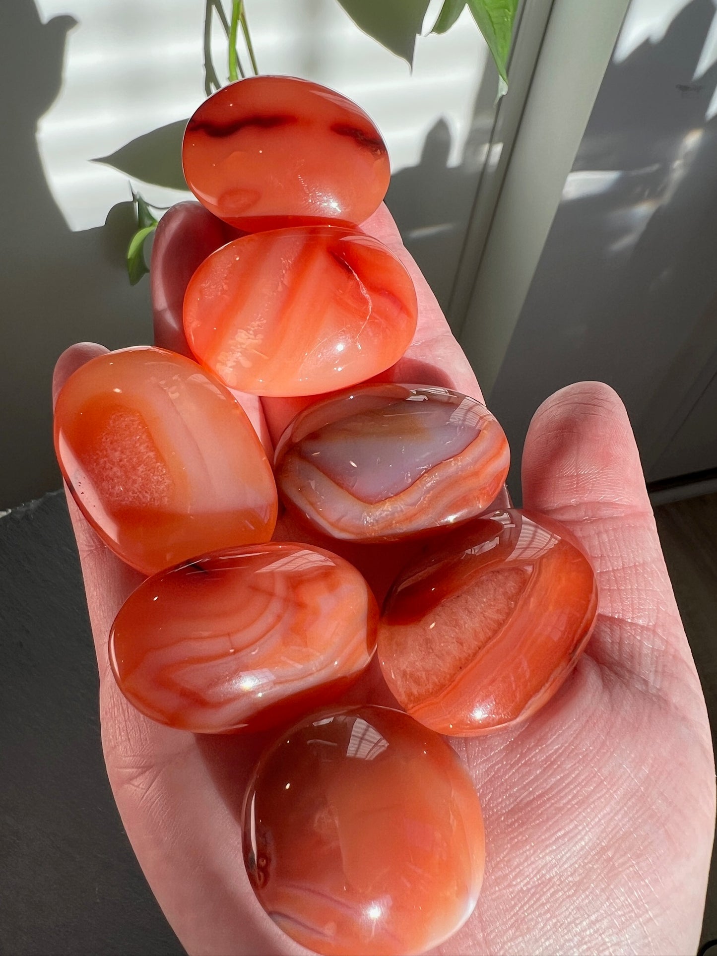 Carnelian Palm Stones