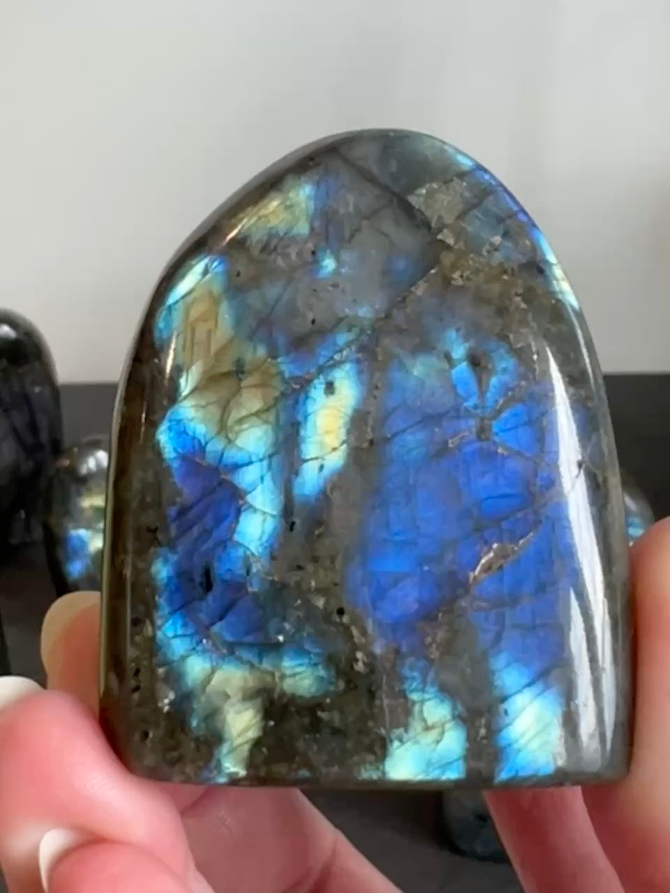 Labradorite Freeform (High Flash)