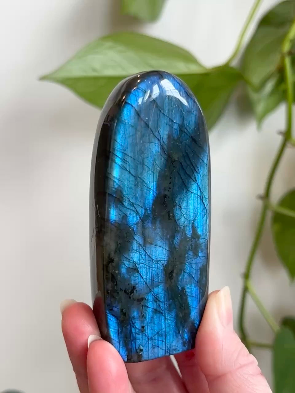 Labradorite Freeform (High Flash)