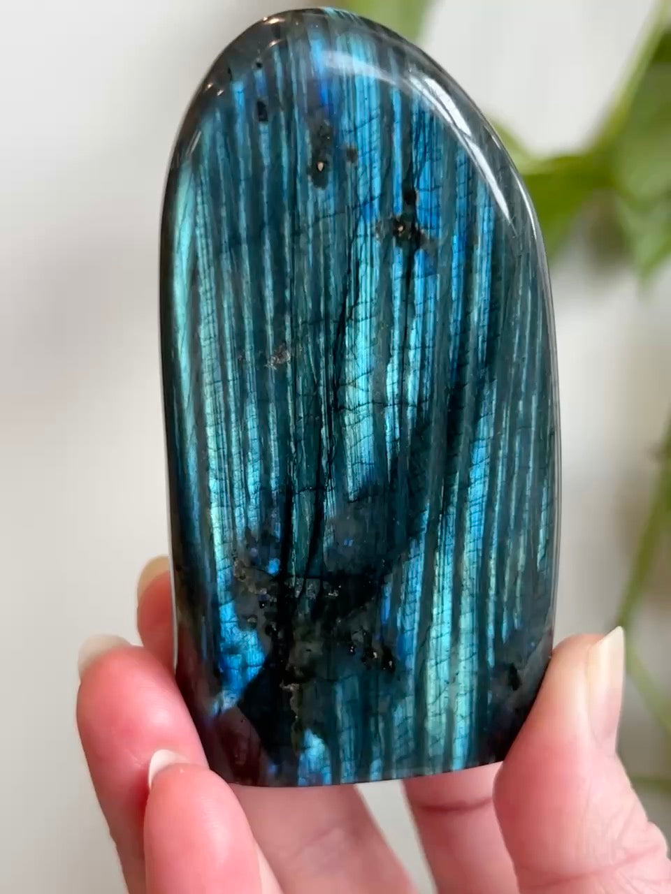 Labradorite Freeform (High Flash)