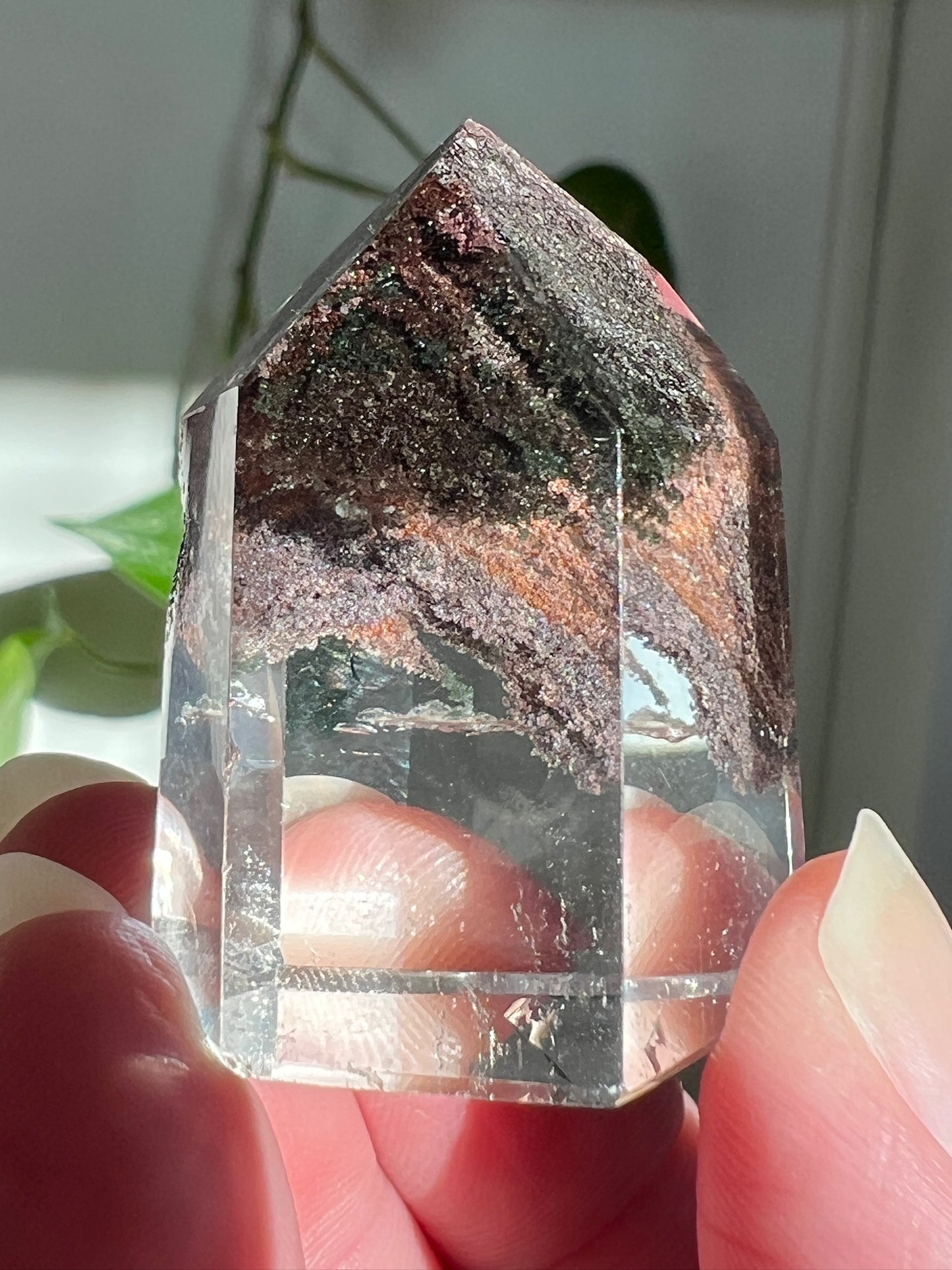 Handpicked Bundle - Rutilated Quartz, Amphibole, and Lodolite