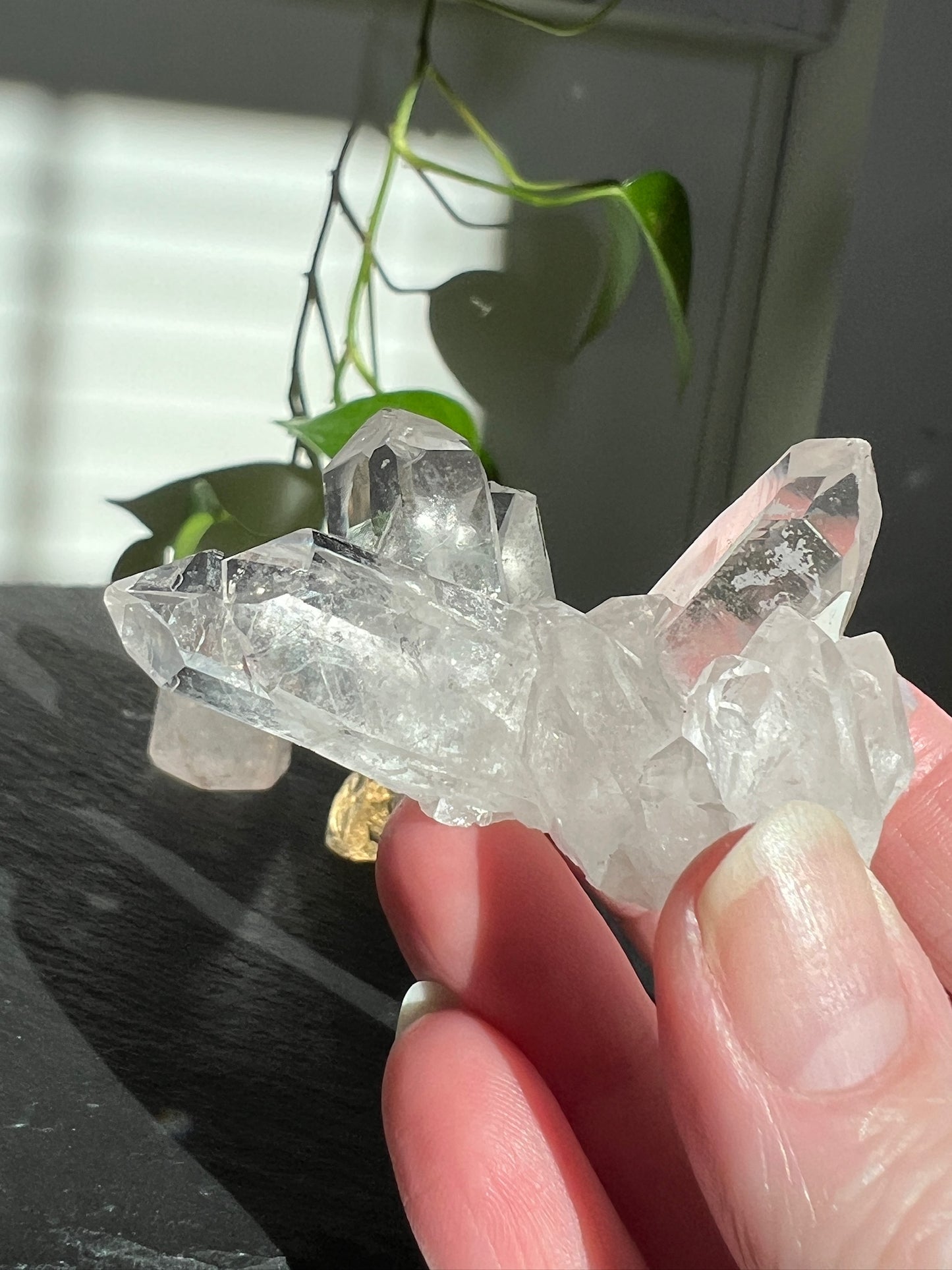 Handpicked Bundle - Lemurian Quartz, Citrine, and Pink Scarlet Lemurian Quartz