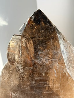 XXL Smoky Elestial Quartz – 13” Display Specimen