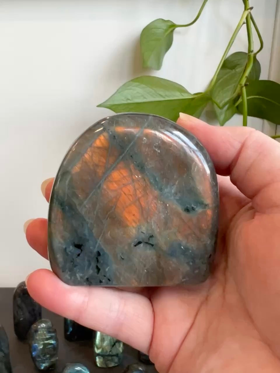 Labradorite Freeform (High Flash - Sunset Orange)