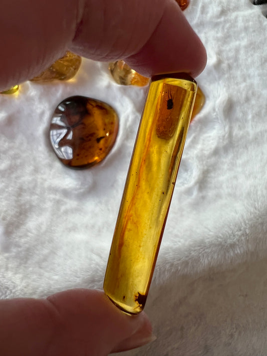 Hand-Polished Amber - Has Bugs