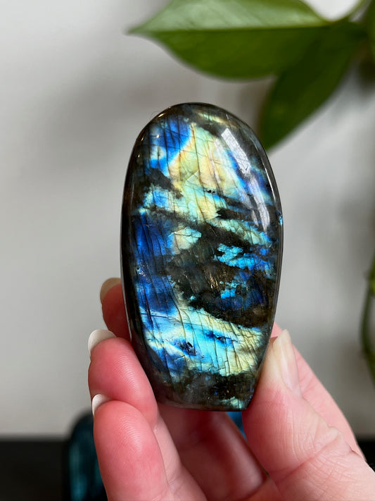 Labradorite Freeform (High Flash)