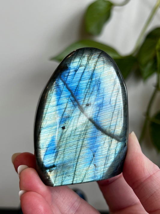 Labradorite Freeform (High Flash)