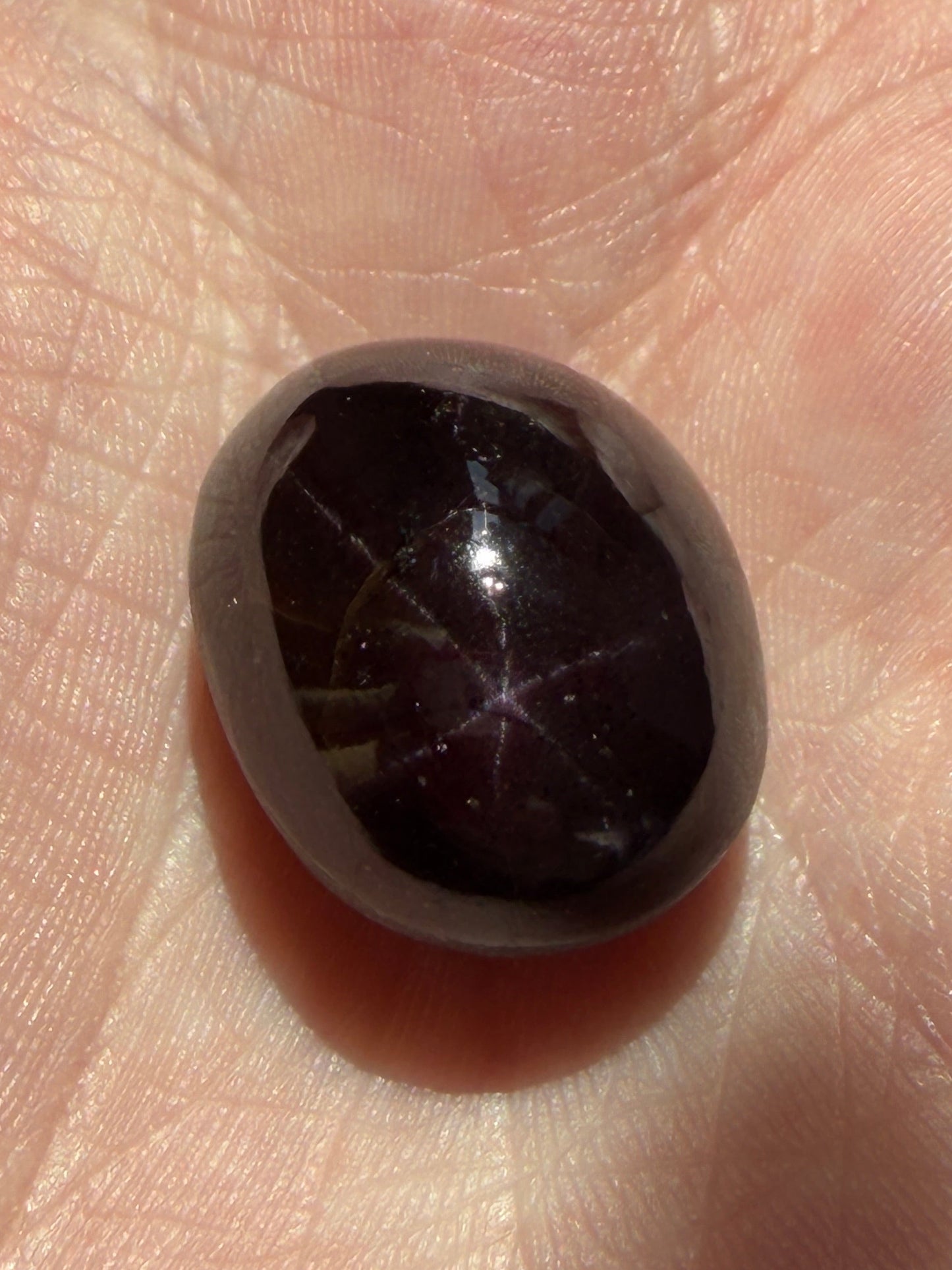 Genuine Star Garnet | 6 Ray Natural Indian Garnet | Deep Red Cabochon Gemstone | Jewelry-Grade | Rare