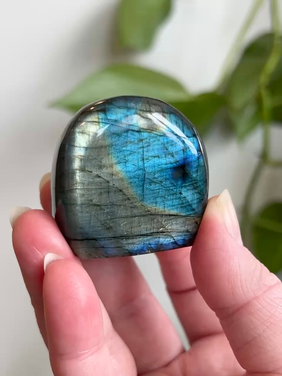 Labradorite Freeform (High Flash)