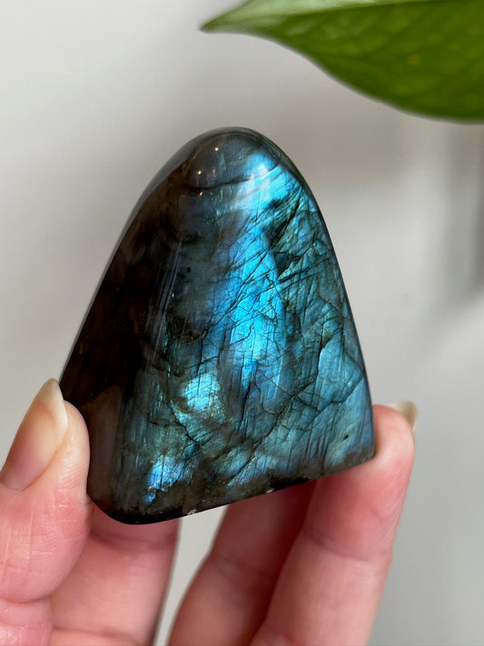 Labradorite Freeform (High Flash)