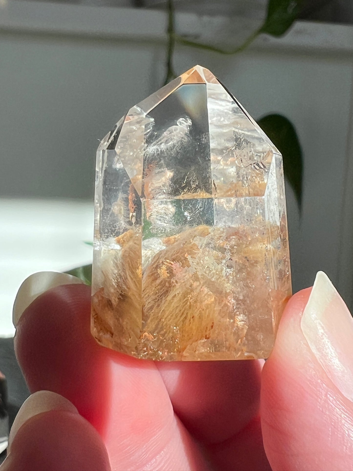 Handpicked Bundle - Rutilated Quartz, Amphibole, and Lodolite